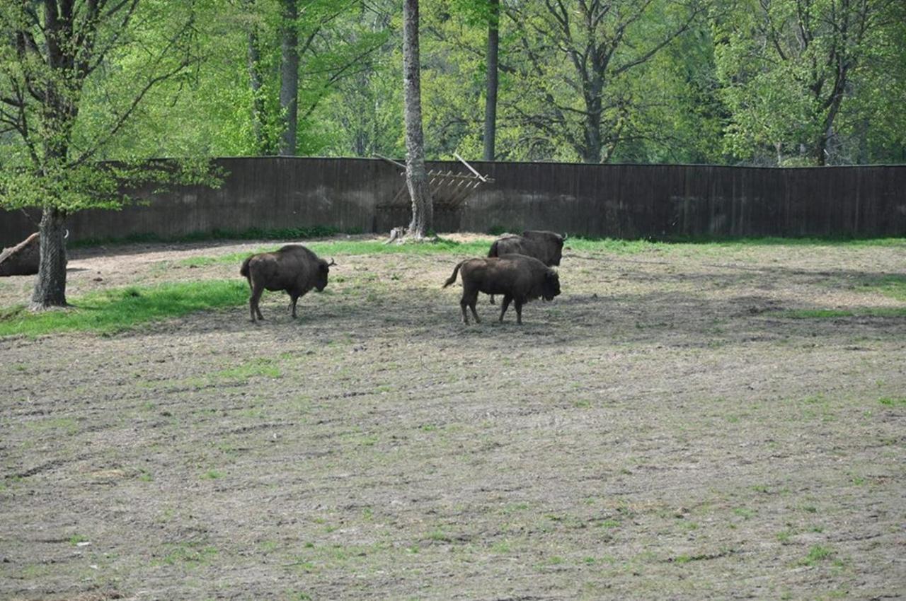 Folwark Mazurskie Legendy - Azyl Dla Doroslych Kruklanki Exterior foto